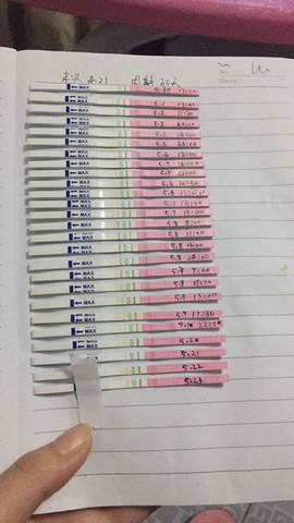 journal_insert_pic_767316342