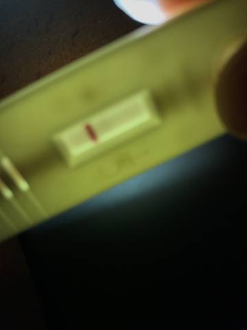 journal_insert_pic_767107657