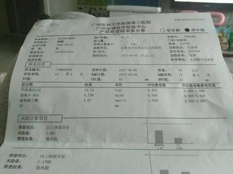 journal_insert_pic_768410003