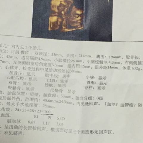 journal_insert_pic_768457939