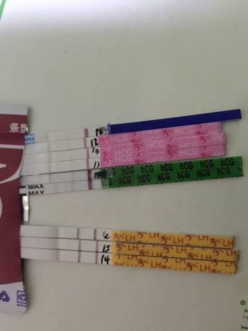 journal_insert_pic_768620643