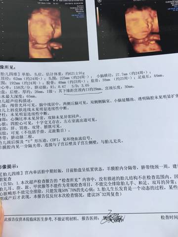journal_insert_pic_769161084
