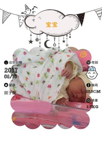 journal_insert_pic_768957380