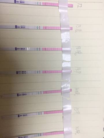 journal_insert_pic_769141637