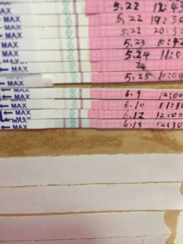 journal_insert_pic_769015127