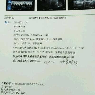 journal_insert_pic_769580157