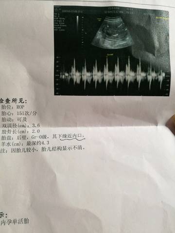 journal_insert_pic_770550479