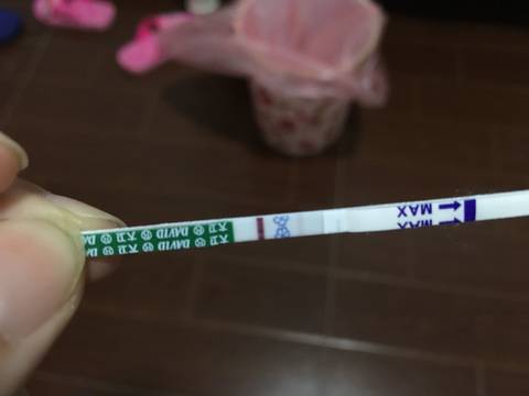 journal_insert_pic_770961533