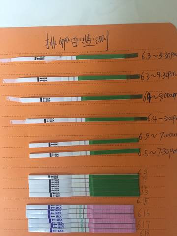 journal_insert_pic_771650881
