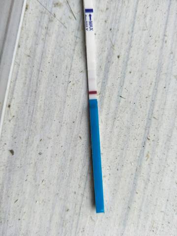 journal_insert_pic_771630888