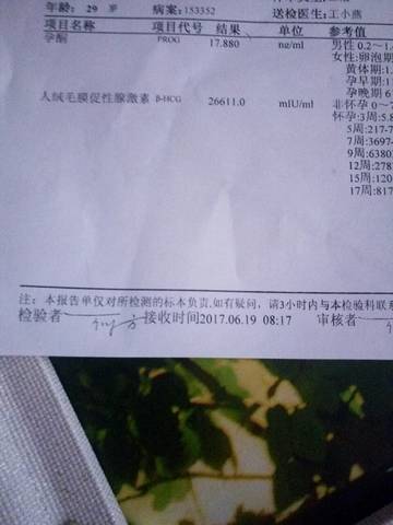 journal_insert_pic_772102672