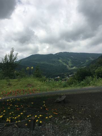 journal_insert_pic_772624228