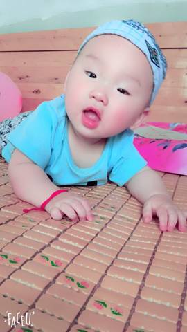 journal_insert_pic_773863352