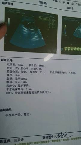 journal_insert_pic_774560553