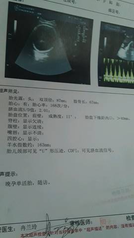 journal_insert_pic_774560579