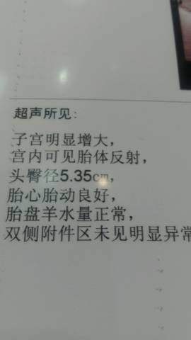 journal_insert_pic_775770140