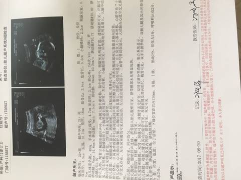 journal_insert_pic_776533146