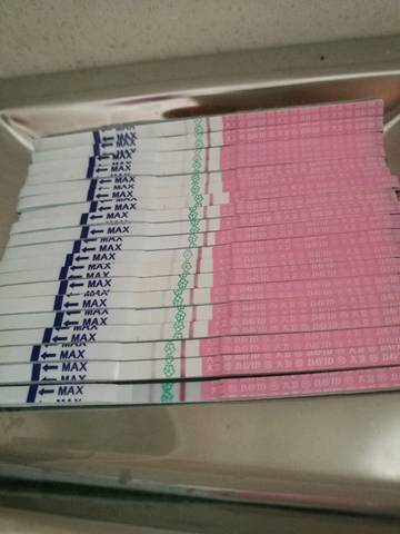journal_insert_pic_776545743