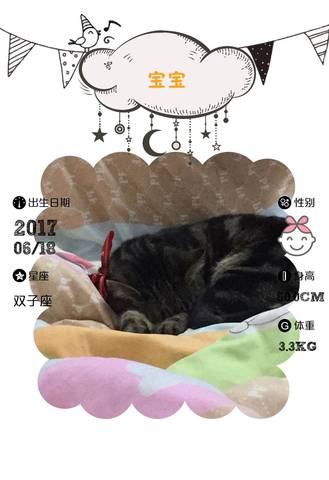 journal_insert_pic_778347178