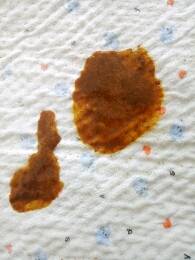 journal_insert_pic_778415612