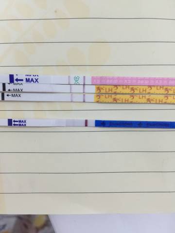 journal_insert_pic_778805058