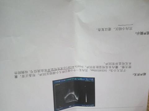 journal_insert_pic_780214265