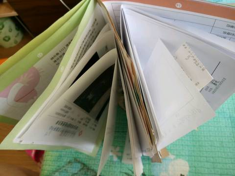 journal_insert_pic_780213338
