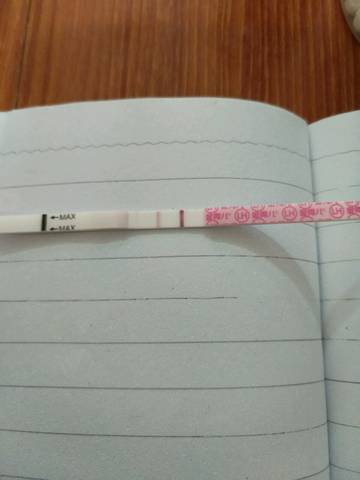 journal_insert_pic_780828718