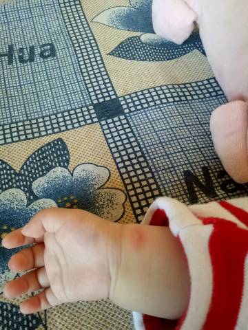 journal_insert_pic_781050889