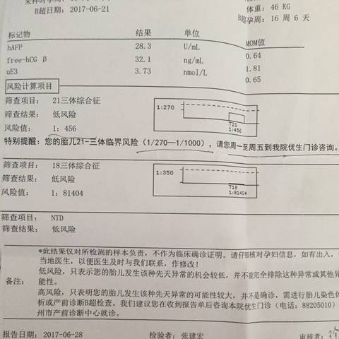 journal_insert_pic_780895401
