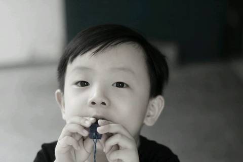 journal_insert_pic_780832509