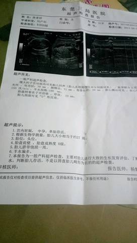 journal_insert_pic_781648598