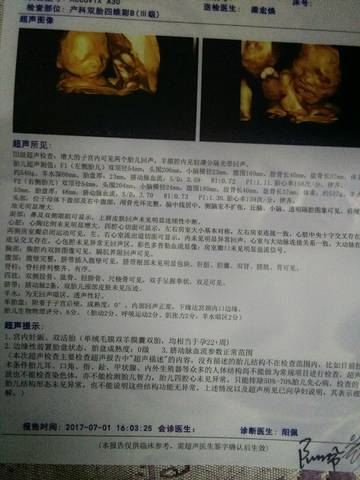 journal_insert_pic_781873208