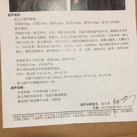 journal_insert_pic_782013657