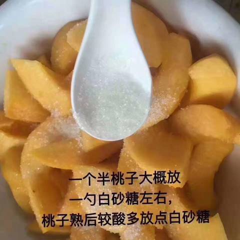 journal_insert_pic_781908221