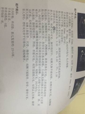 journal_insert_pic_783380356