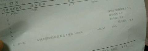 journal_insert_pic_783928510