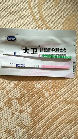 journal_insert_pic_783844531