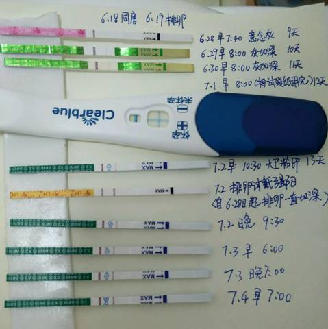 journal_insert_pic_783777646