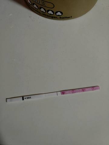 journal_insert_pic_785065093