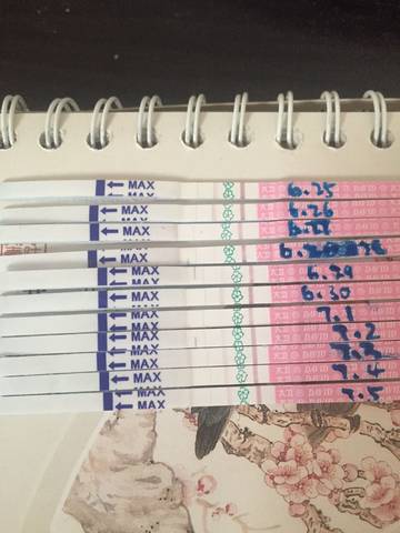 journal_insert_pic_785142528