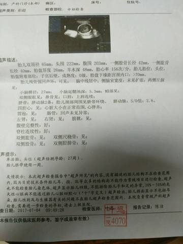 journal_insert_pic_784588853
