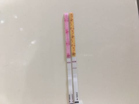 journal_insert_pic_785655239