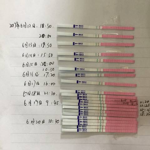 journal_insert_pic_785301795
