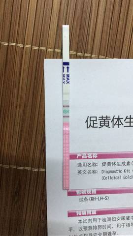 journal_insert_pic_786209717