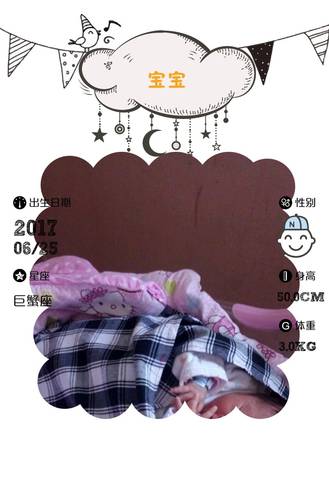 journal_insert_pic_787021398