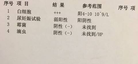 journal_insert_pic_786940999