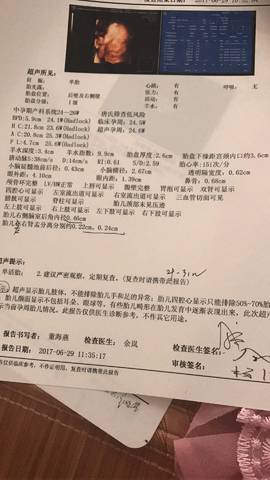 journal_insert_pic_787000537