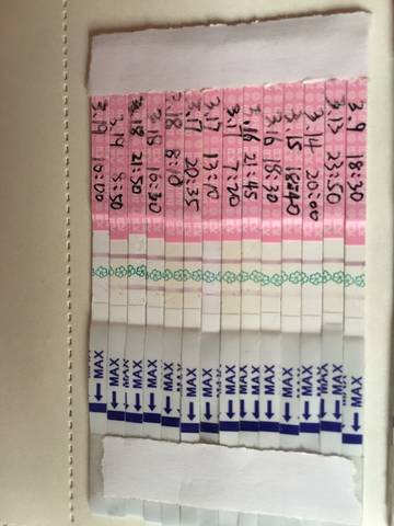 journal_insert_pic_787910991