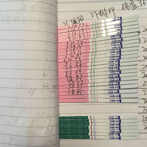 journal_insert_pic_787728193